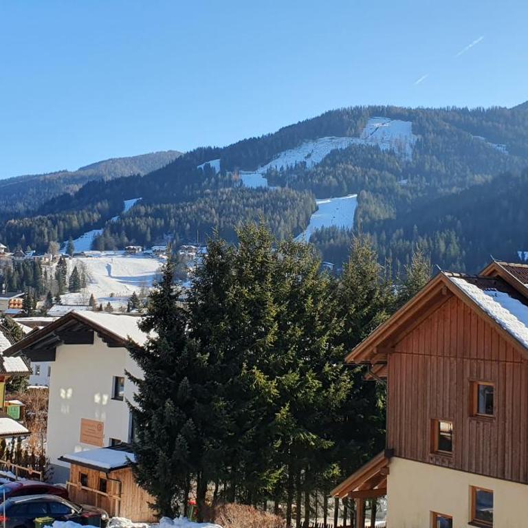 Appartement Liisa Bad Kleinkirchheim - Apartment mit 2 Schlafzimmern - 13