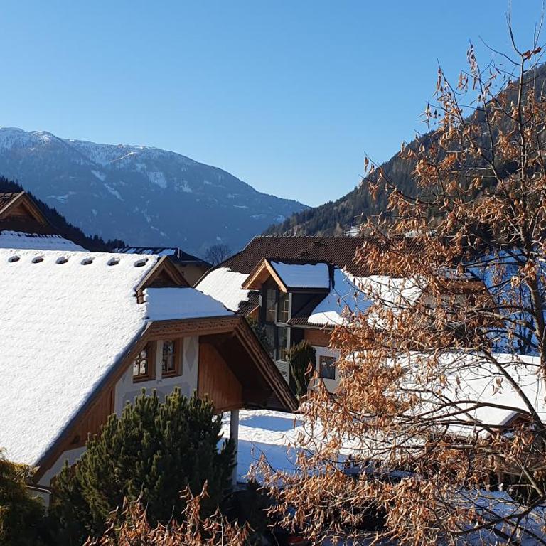 Appartement Liisa Bad Kleinkirchheim - Apartment mit 2 Schlafzimmern - 22