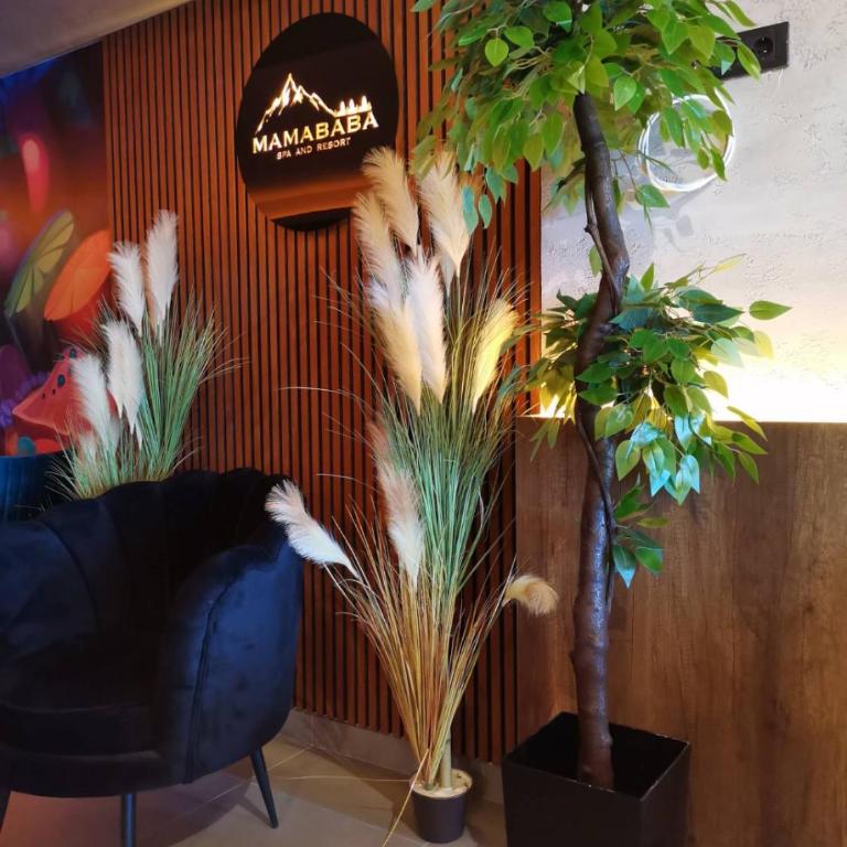 Milmari Resort N56 Kopaonik wellnes&spa - Apartman sa 1 Spavaćom Sobom - 19