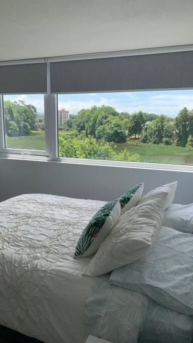 Departamento estudio IslaTeja - One-Bedroom Apartment - 11