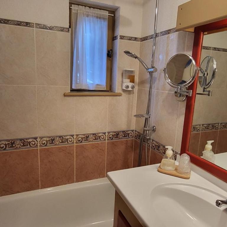 Mountain Lodge in Alps-chez Philippe, Panoramic-Village, Renting, view over Glaciers - N°301 One Bedroom apartment CHAMOIS - with private terrace and glacier view - 7