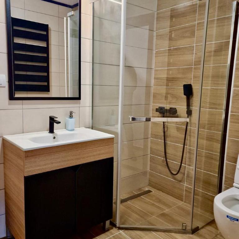 Sunčana Planina Kopaonik - Apartman sa 1 Spavaćom Sobom - 10