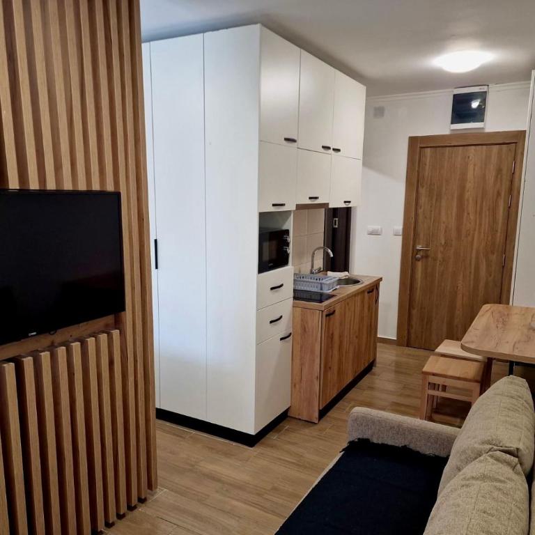 Sunčana Planina Kopaonik - Studio - 1
