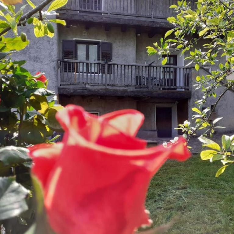 Cà dei Zoani casa vacanze 022139 AT 722787 - Casa de 3 dormitorios - 2