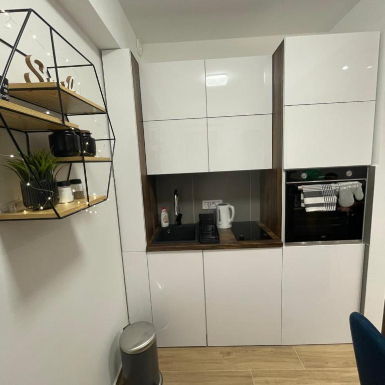 Apartman ,,Krčmar1” Divcibare - Apartman sa 1 Spavaćom Sobom - 11