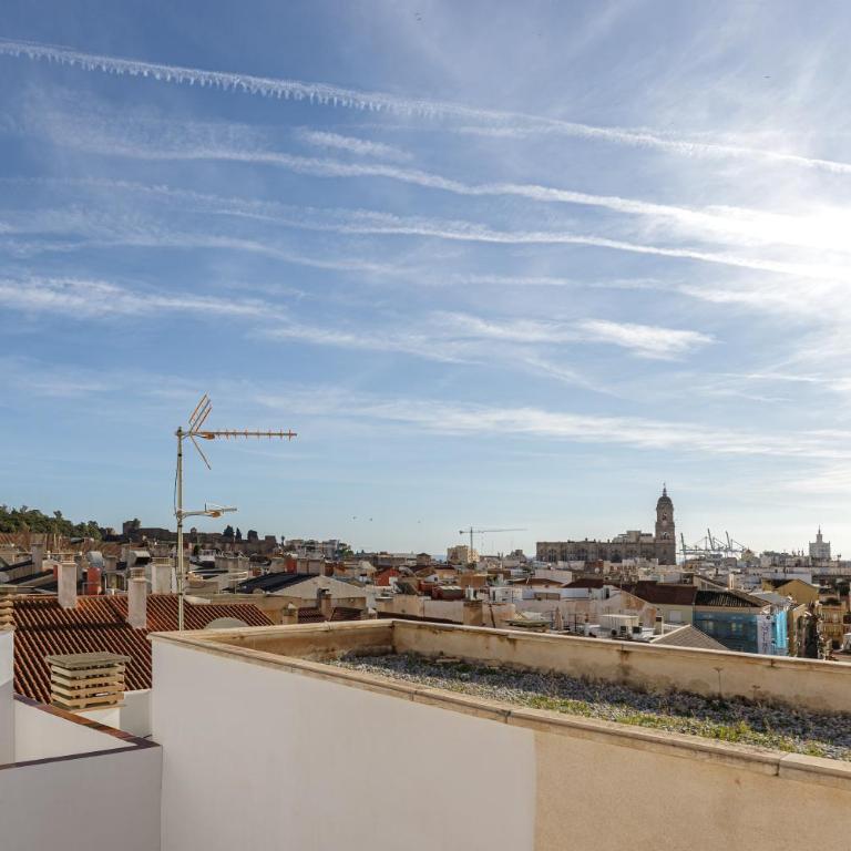 Living4Malaga City Views Terrace - Apartamento de 1 dormitorio - 3