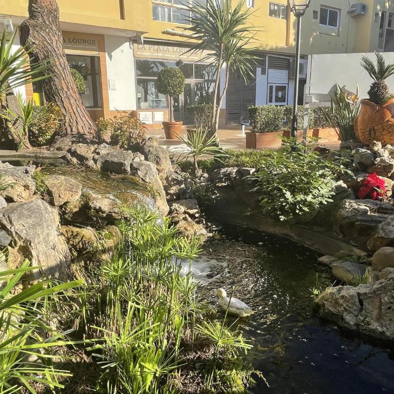 Dona Lola Micaela - fully equiped 1 bedroom ground floor beach front apartment with direct access to the beach of Calahonda - Costa del Sol - CS155 - Apartamento de 1 dormitorio - 13