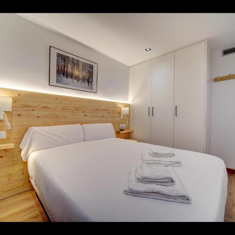 MONTLUDE de Alma de Nieve - Apartamento - 7