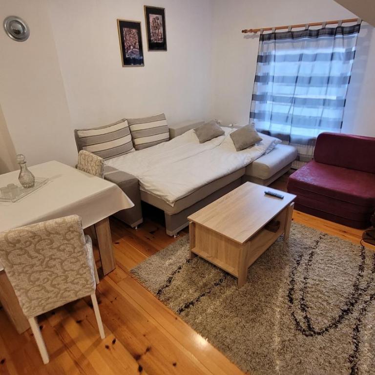 Zlatibor Apartmani DM Tornik - Apartment - 7