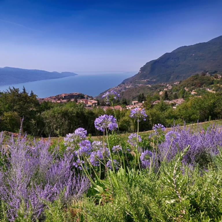 BnB Borgo le Vigne - L'Uva rara Only Adults - Appartamento Deluxe con 2 Camere da Letto e Vista Giardino - 50
