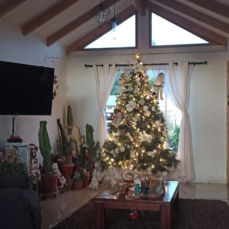 Casa de campo Llifén Futrono Lago Ranco - Apartamento de 3 dormitorios - 31