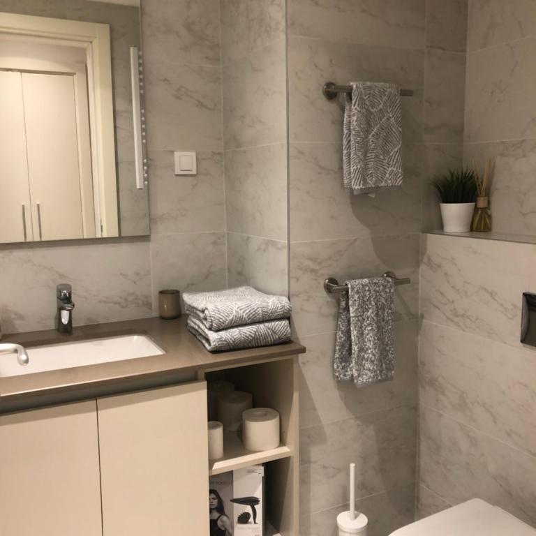 Cozy Belgrade Waterfront studio with Murphy bed - Apartman sa 1 Spavaćom Sobom - 15