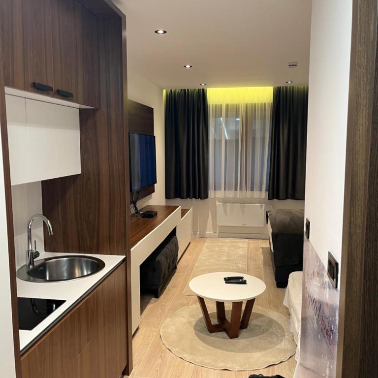 Apart Hotel & spa Zoned II, Kopaonik, apartman Lukač - special benifit Children up to 17 of age accompanied by two adutls staj for free! FREE PARKING! - Deluxe King Studio - 5