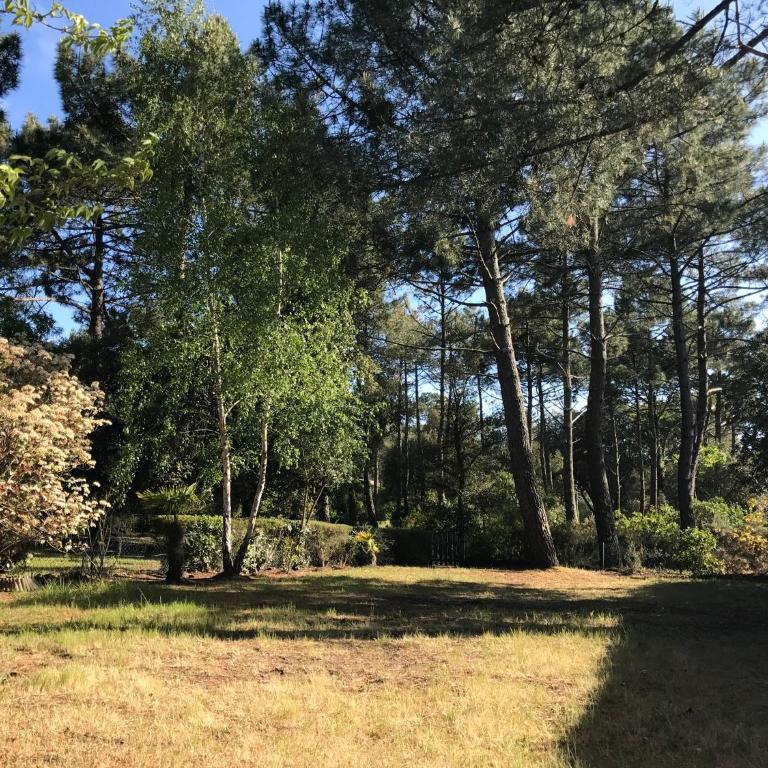 VILLA LACANAU OCÉAN DANS LE GOLF - Haus mit 4 Schlafzimmern - 44