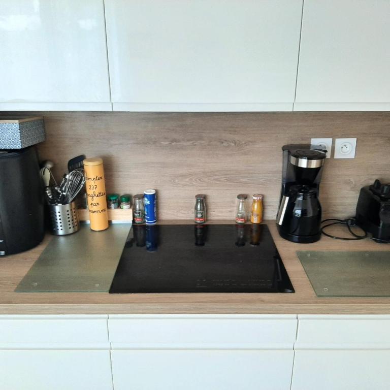 Jolie suite parentale, chambre et salle d'eau, avec son coin de verdure à 5 minutes à pied du centre ville - Chambre Double avec Salle de Bains Privative - 19