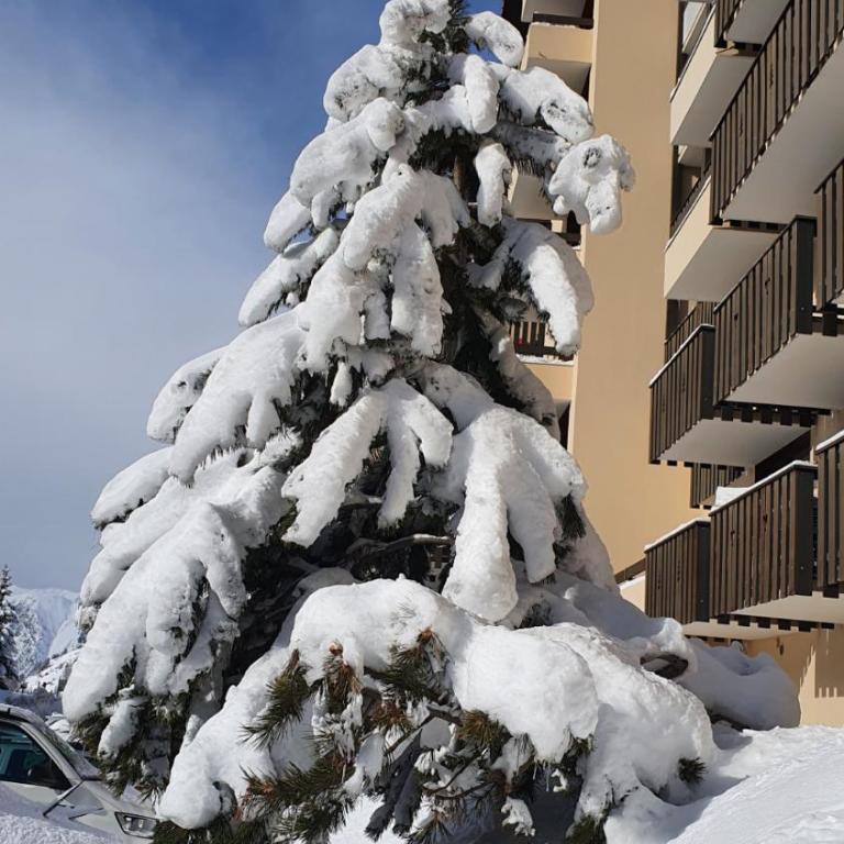 Front de neige Panoramique - Appartement 1 Chambre - 3