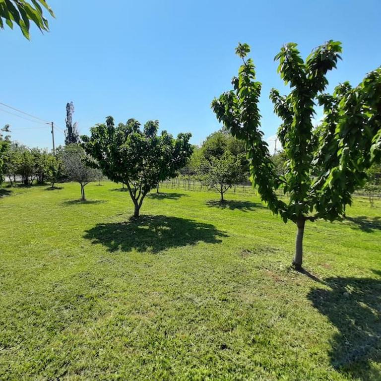 Home Mia Airport - Two-Bedroom Apartment - 48