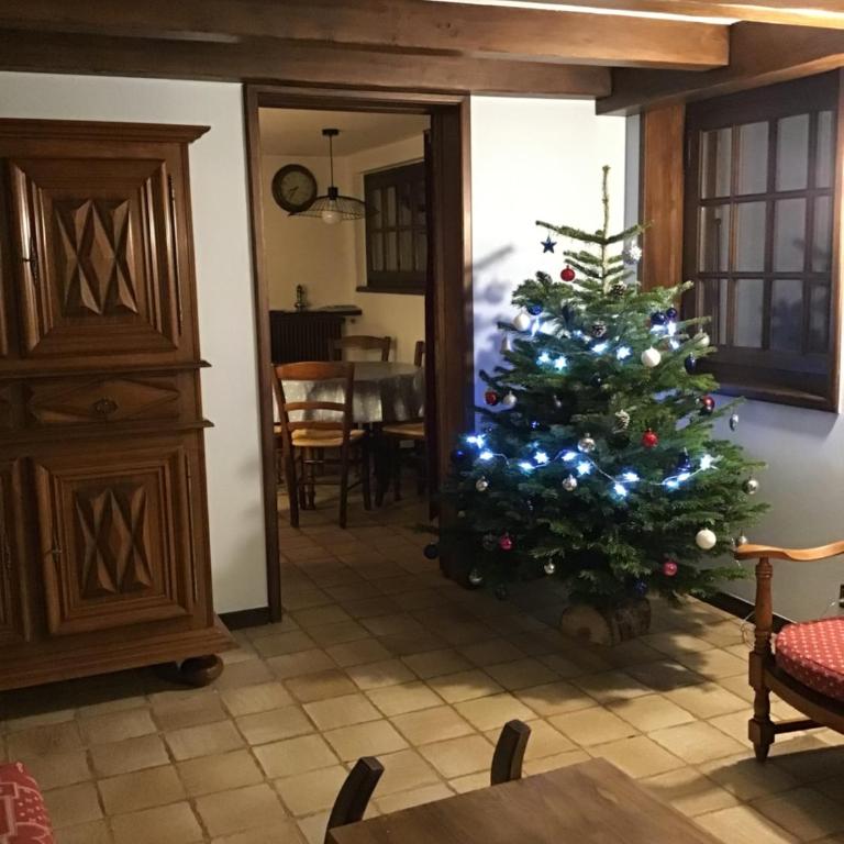 Grangettes - Apartment - Ground Floor - 4