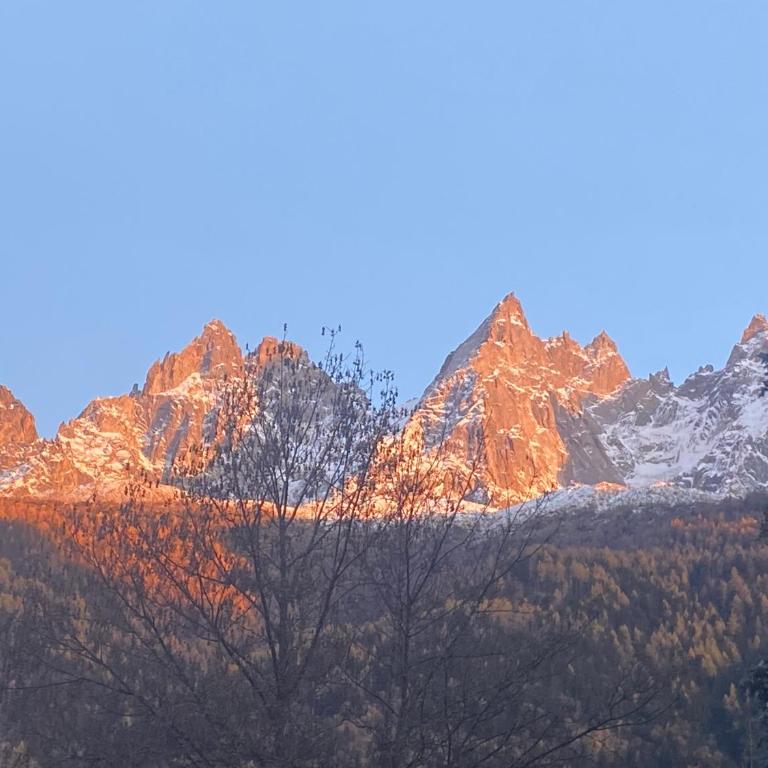 Chamonix - Majestic vue Mont Blanc - Two-Bedroom Apartment - 17