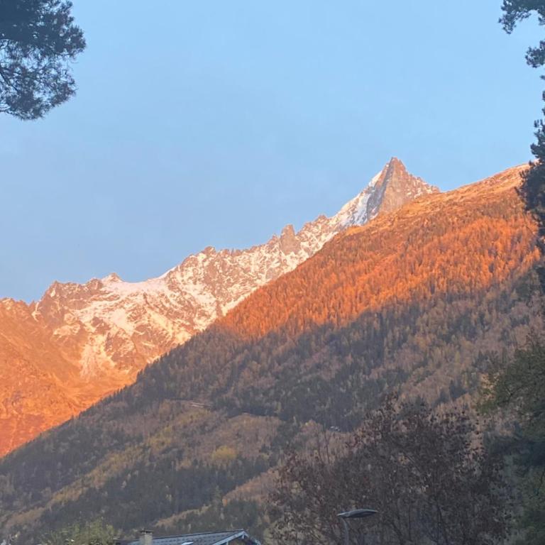 Chamonix - Majestic vue Mont Blanc - Two-Bedroom Apartment - 19