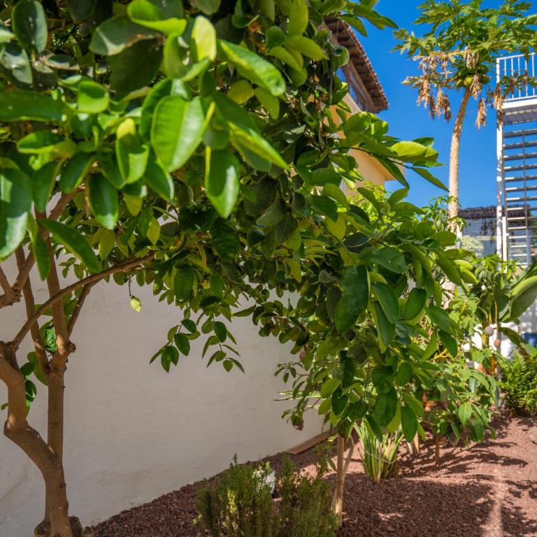 Villa La Laja 5 Bedrooms, Rooftop Terrace Sea View - Villa con vistas al mar - 50