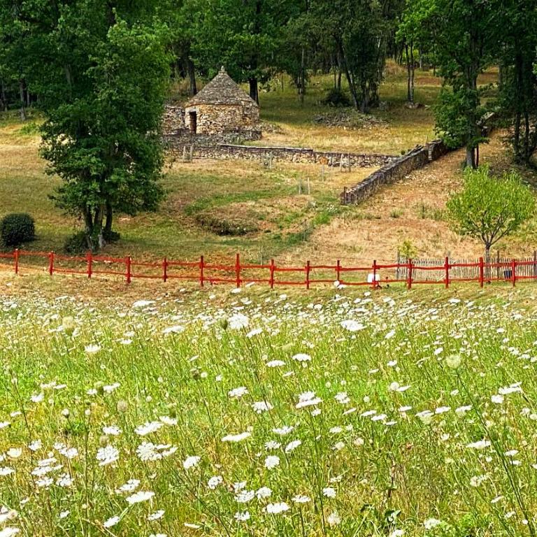 Eco-hameau Du Sentier Des Sources - Haus mit 5 Schlafzimmern - 13