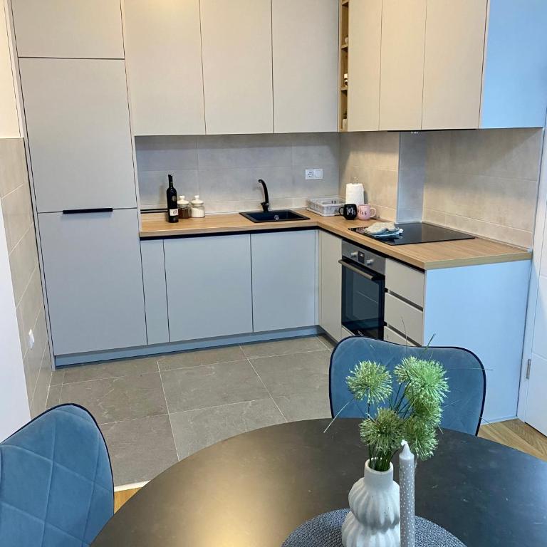 Apartman Dedijer - Apartman sa 1 Spavaćom Sobom - 12