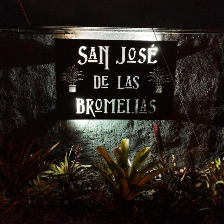 San José de las bromelias - Apartamento de 1 dormitorio - 12