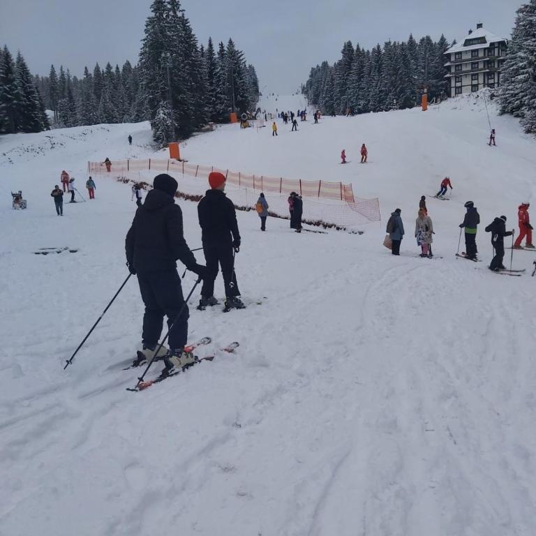Kopaonik Župa 505 - One-Bedroom Apartment - 31