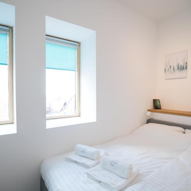 Nivalis Hill 3 - One-Bedroom Apartment - 5