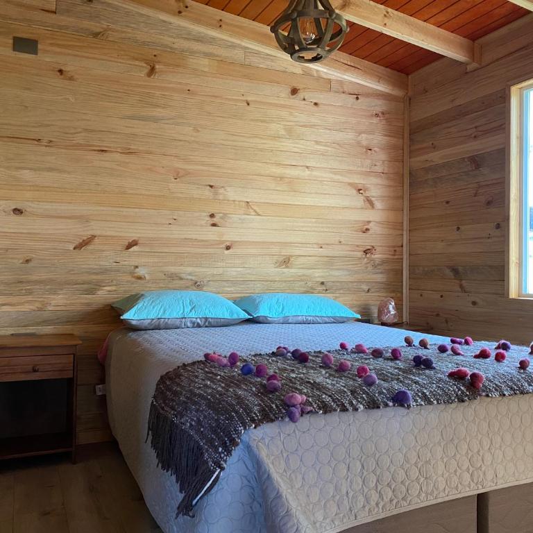 Cabañas Aliwen isla Quehui - Casa con 1 dormitorio - 3