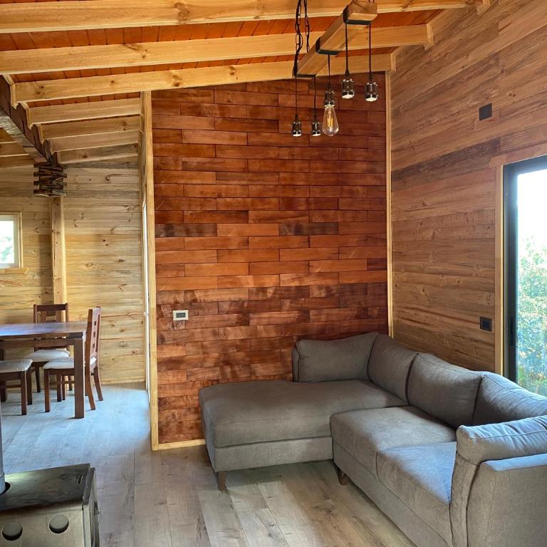 Cabañas Aliwen isla Quehui - Casa con 1 dormitorio - 5