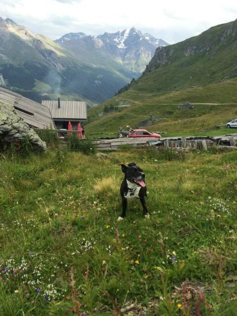 Le Grand Paradis - Away from the summer heat - Les Collons - Chalet - 11