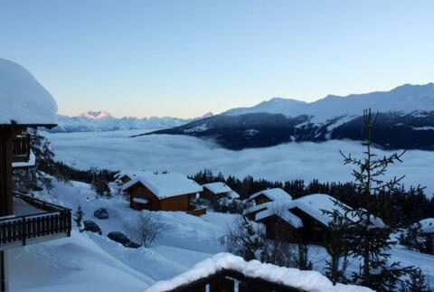 Le Grand Paradis - Away from the summer heat - Les Collons - Chalet - 16