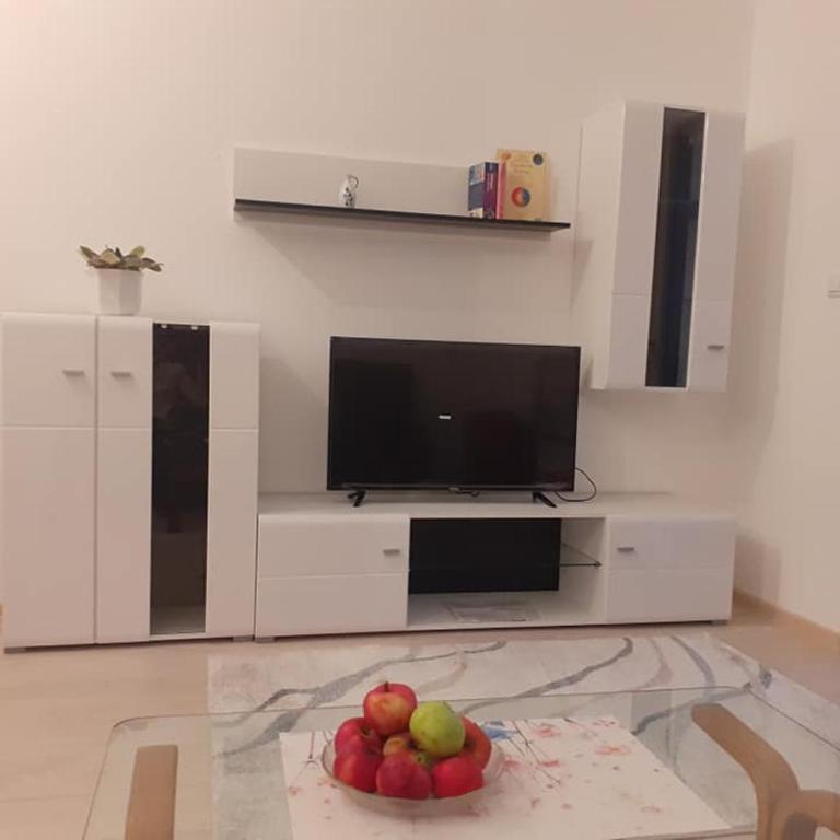 Djurdjica - Apartman sa 1 Spavaćom Sobom - 13