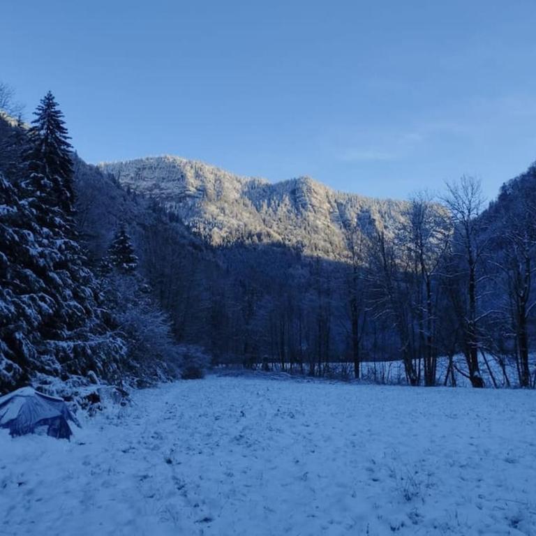 Châlet 8 personnes + grand terrain et rivière - Chalet 2 Chambres - 16
