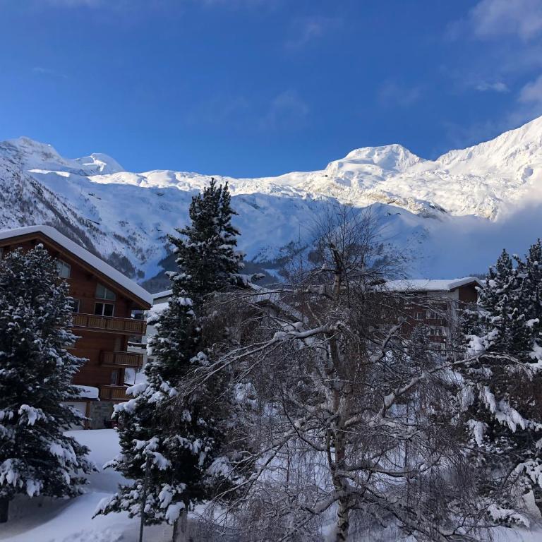 Near ski slopes 2 bedrooms apartment with balcony - Apartment mit 2 Schlafzimmern - 1