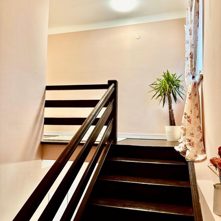 Sternenhimmel Gamlitz FeWo 3 SZ - Apartment mit 3 Schlafzimmern - 26