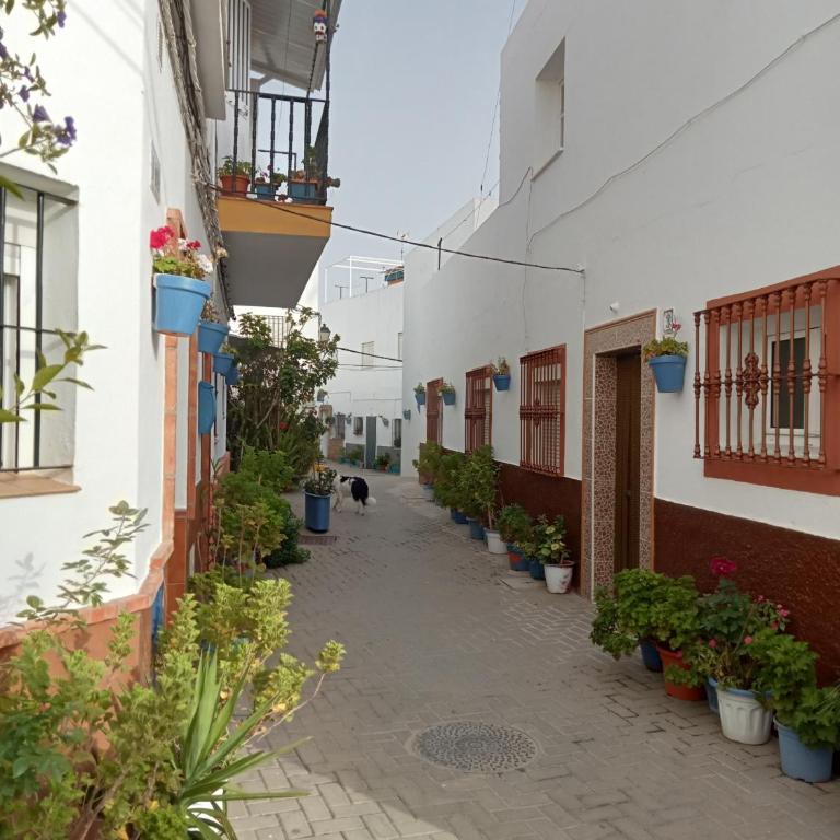 Casa Jurel - Apartamento de 2 dormitorios - 31