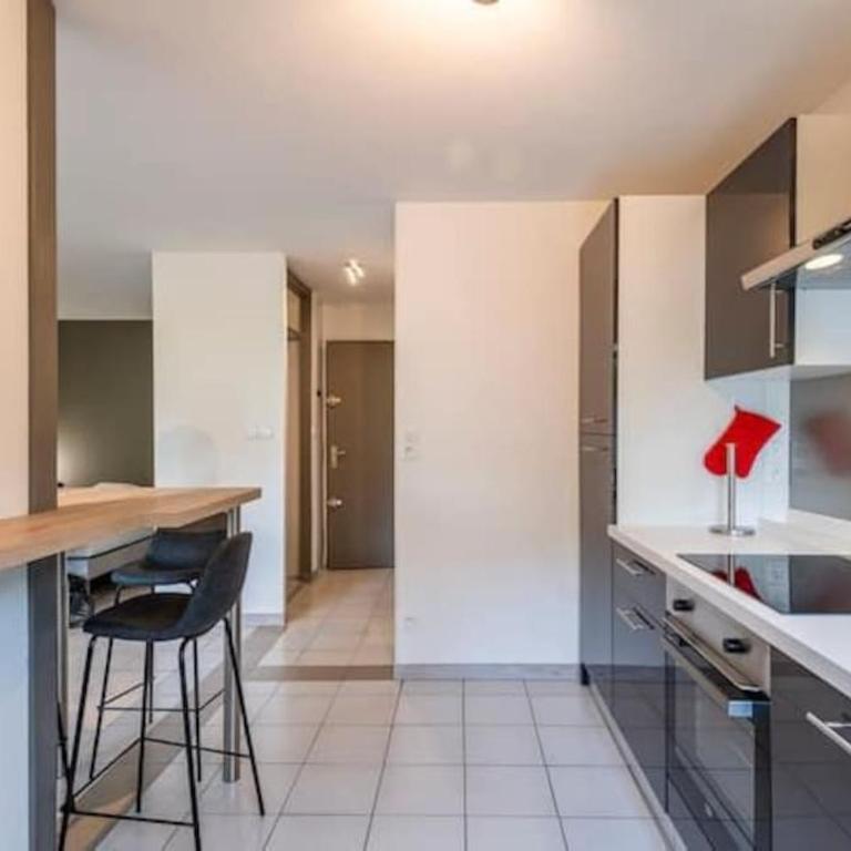joli appartement avec balcon proximité lac - Apartment mit 1 Schlafzimmer - 10