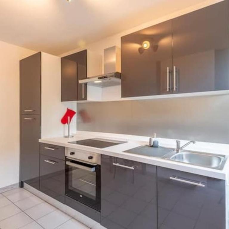 joli appartement avec balcon proximité lac - Apartment mit 1 Schlafzimmer - 15