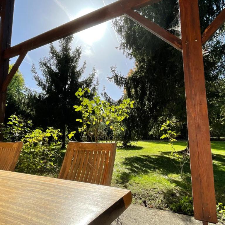 Villa au milieu des pins / bord du lac - Villa - 19