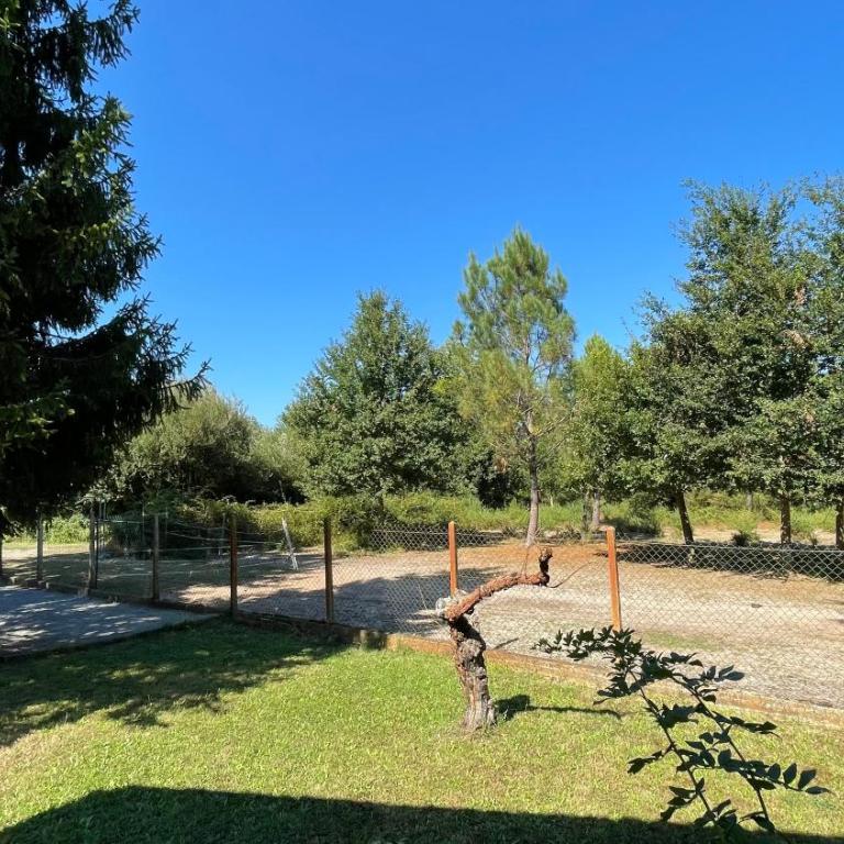 Villa au milieu des pins / bord du lac - Villa - 12