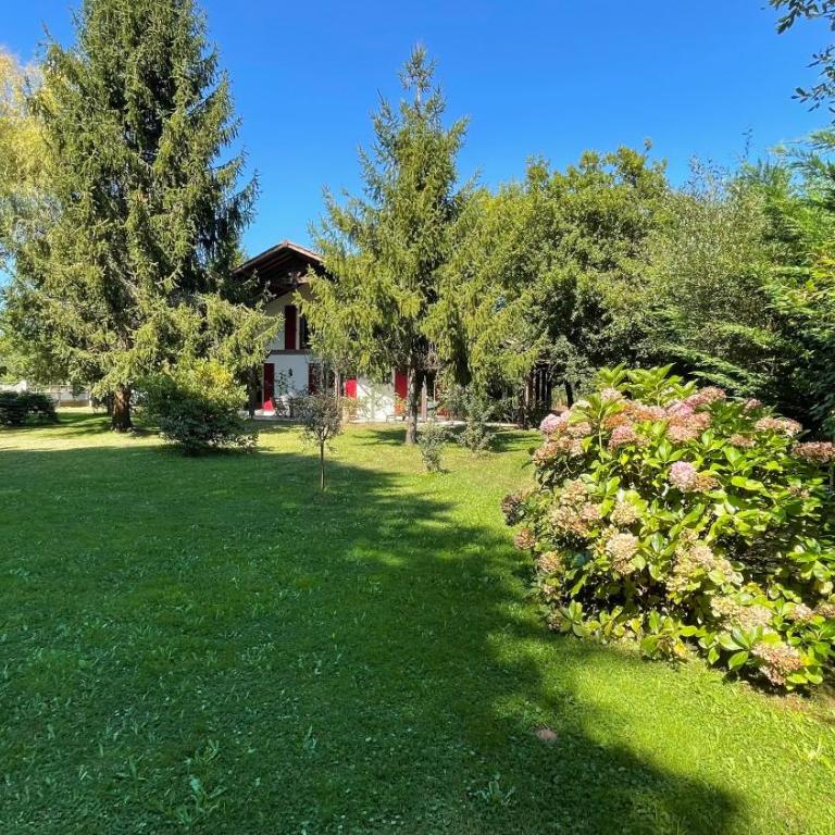 Villa au milieu des pins / bord du lac - Villa - 5