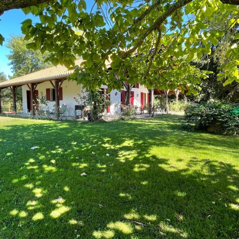 Villa au milieu des pins / bord du lac - Villa - 2