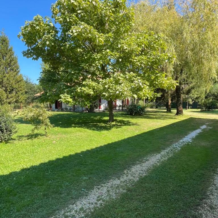 Villa au milieu des pins / bord du lac - Villa - 7