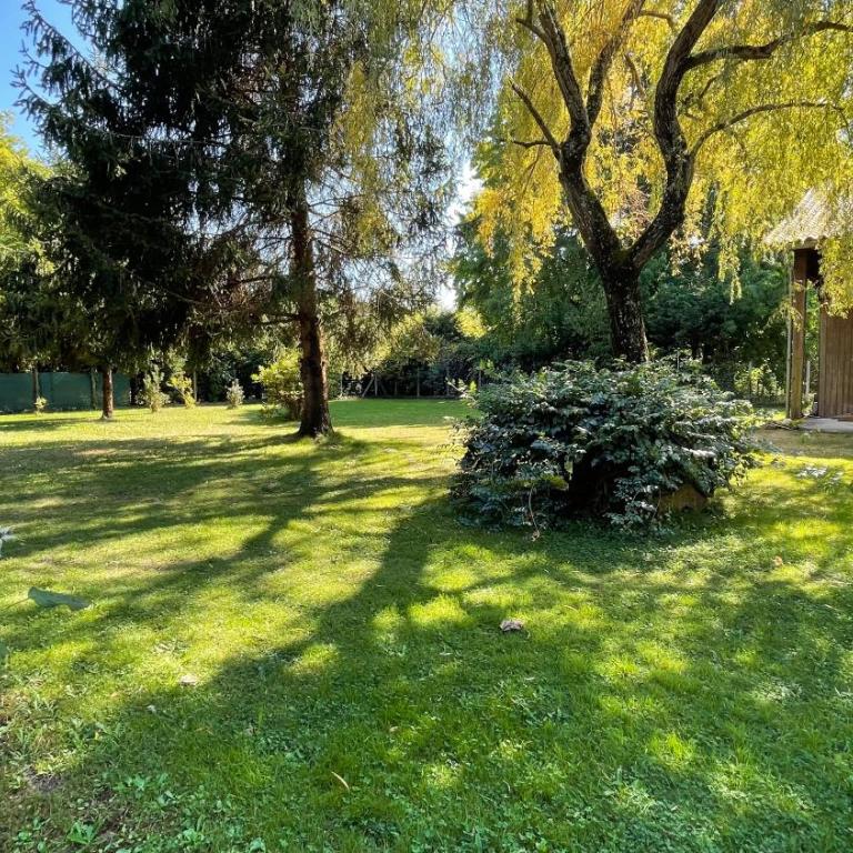 Villa au milieu des pins / bord du lac - Villa - 6