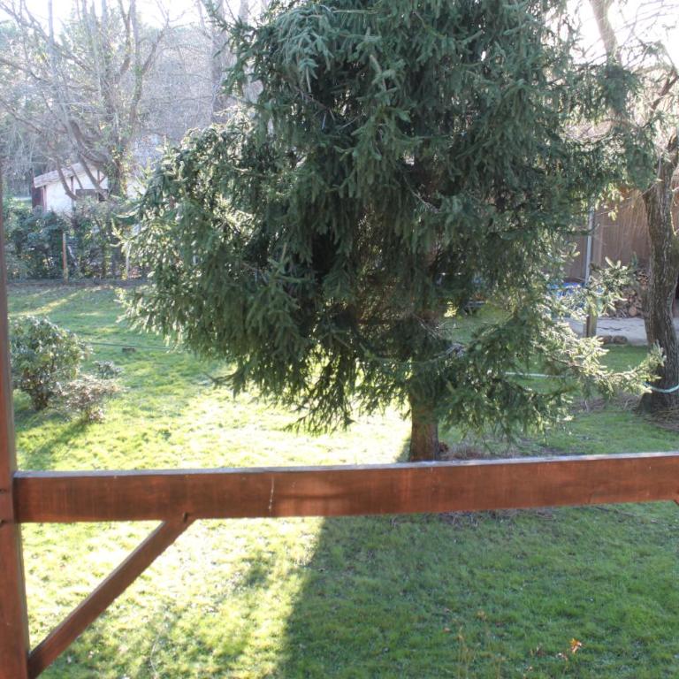 Villa au milieu des pins / bord du lac - Villa - 44