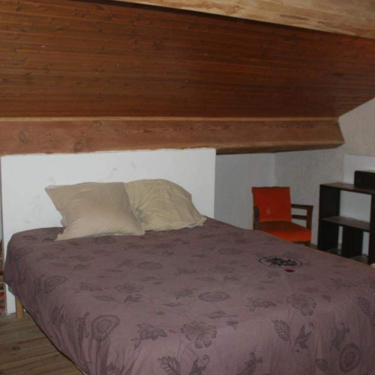 Villa au milieu des pins / bord du lac - Villa - 42