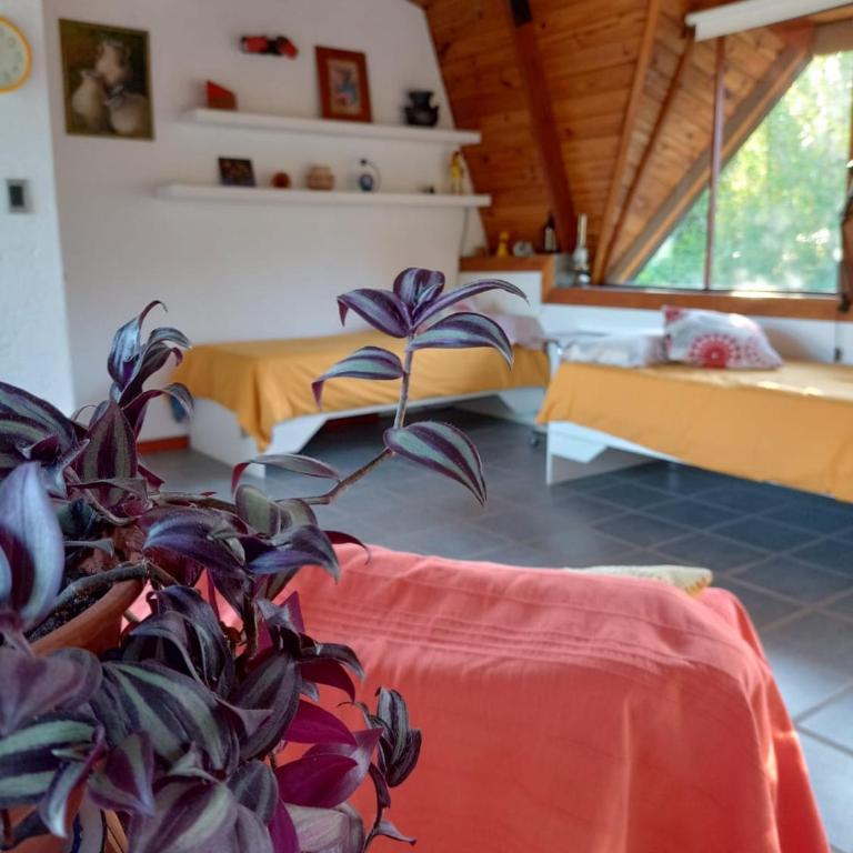loft interno - Apartamento de 1 dormitorio - 2